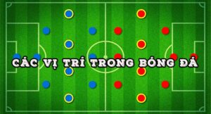 Các vị trí trong bóng đá? Cách lựa chọn vị trí phù hợp nhất?