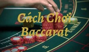 Cách chơi Baccarat chi tiết và đầy đủ nhất cho các cược thủ