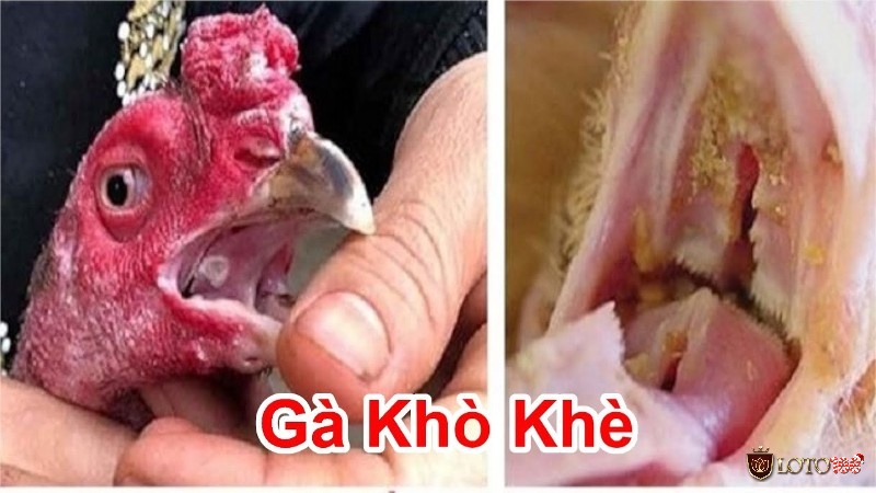 Việc theo dõi quá trình điều trị giúp ánh giá chính xác hiệu quả và điều chỉnh phương pháp khi cần thiết