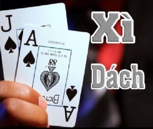 Luật chơi xì dách cơ bản và dễ thắng dành cho tân thủ