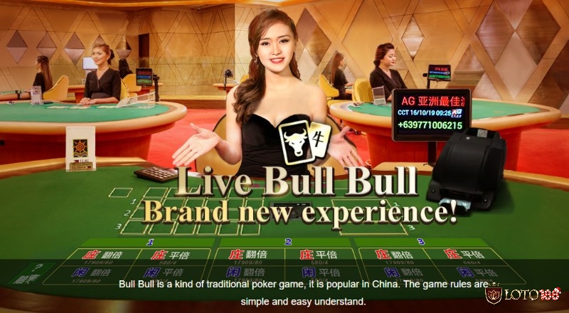 Bull Bull có nguồn gốc từ các nước châu Á nhưng nhanh chóng phổ biến tại các sòng bài trên thế giới