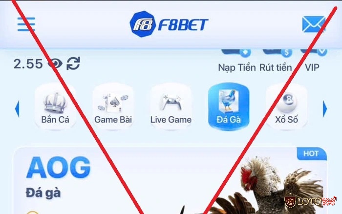 Các sới đá gà cựa sắt là gì trái phép thường hoạt động kín đáo, có người cảnh giới và liên quan đến cá cược phi pháp.