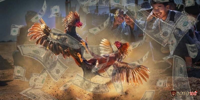 Việc tham gia một nhà cái đá gà nổi tiếng và uy tín như Loto88 sẽ giúp bạn đảm bảo an toàn và bảo mật khi chơi